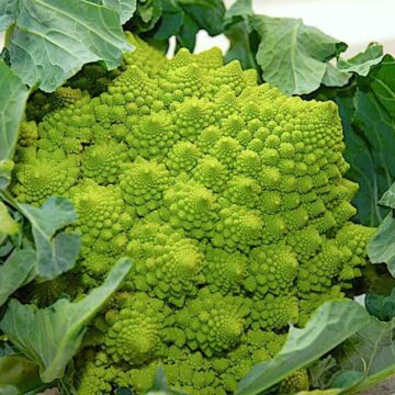 Billede med romanesco.