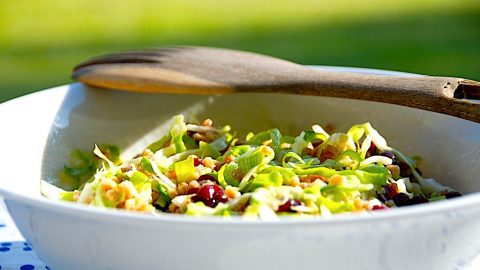 billede med perlespelt med spidskål og tranebær