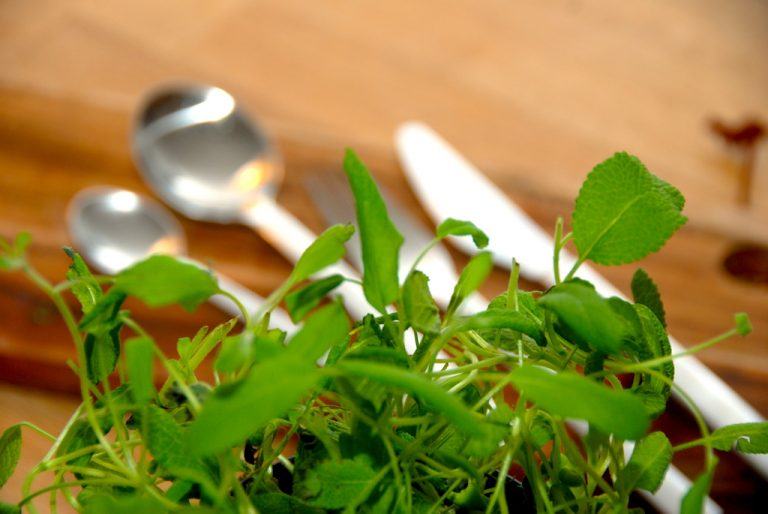 Du kan nemt lave din egen tunsalat med dåsetun. Opskriften indeholder kun lidt mayonnaise, så den er ikke alt for fed. Genrefoto: Guffeliguf.dk.