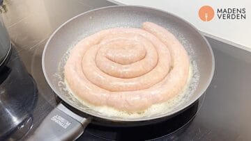 den kogte medister steges på panden