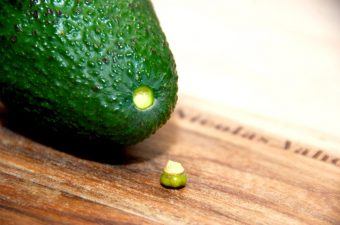 sådan ser du om en avocado er moden