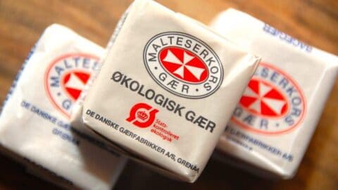 Billede med gær.