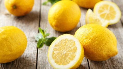 Billede med citron.