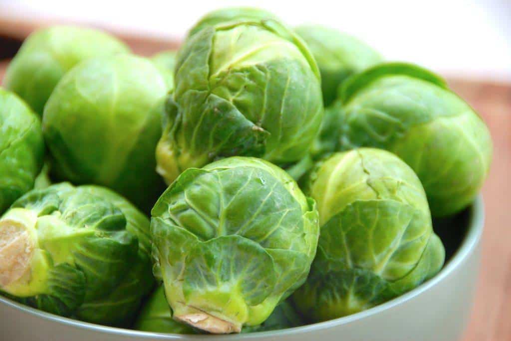 roenkål brussel sprouts fakta næringsindhold