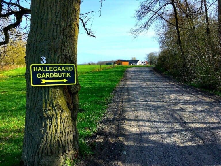 Højreb fra Hallegaard (grundopskrift på oksehøjreb)