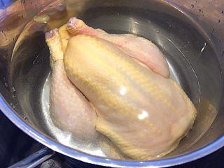 billede med høne eller kylling i gryde til hønsekødssuppe