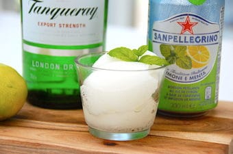 Gin & Tonic sorbet is