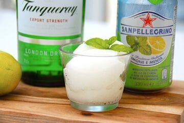 Gin & Tonic sorbet is
