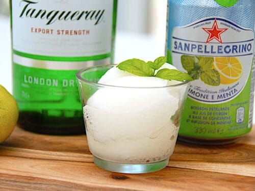 Gin & Tonic sorbet is