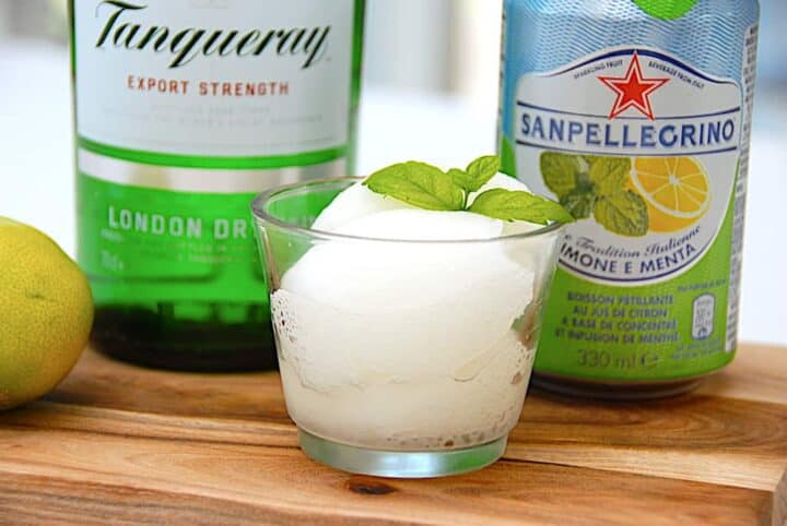 Gin & Tonic sorbet is