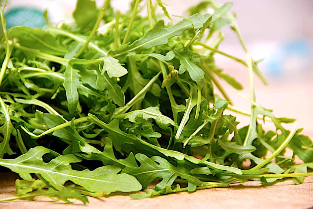 rucola