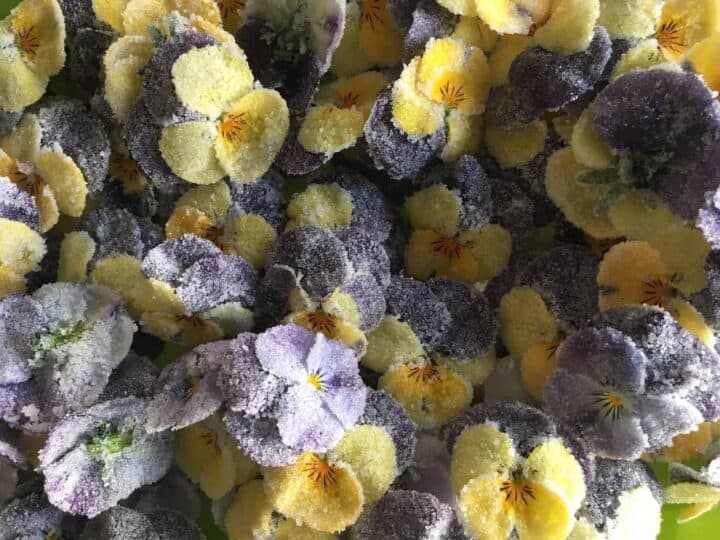 Kandiserede blomster