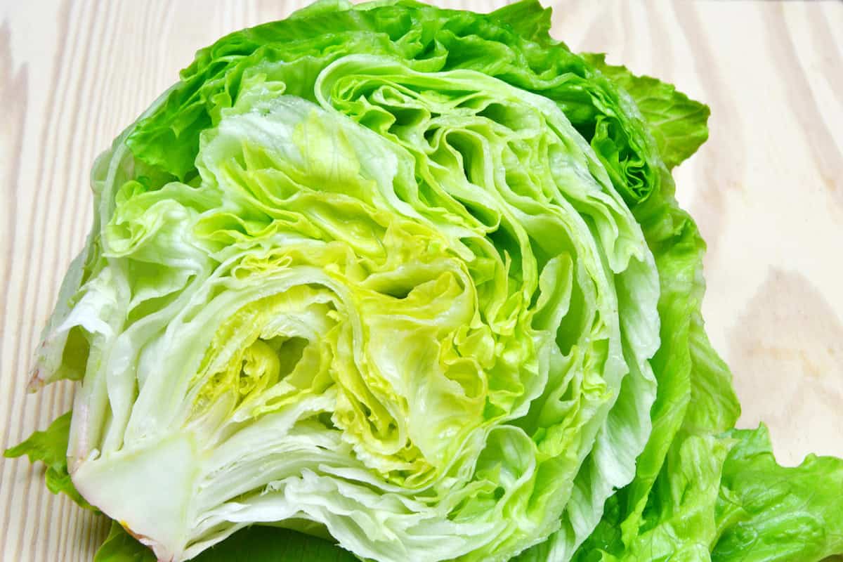 Billede med icebergsalat.