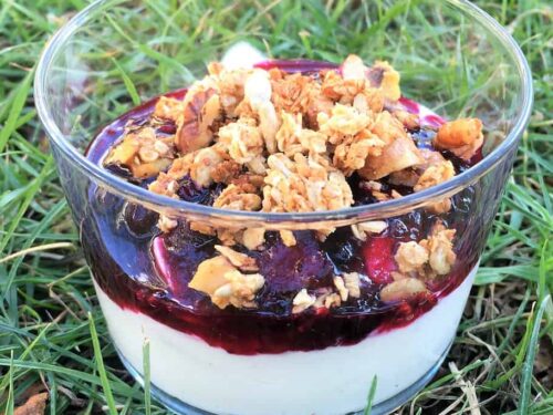 skyr med hjemmelavet granola
