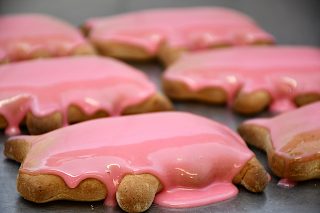 billederesultat for bornholmske kagegrise