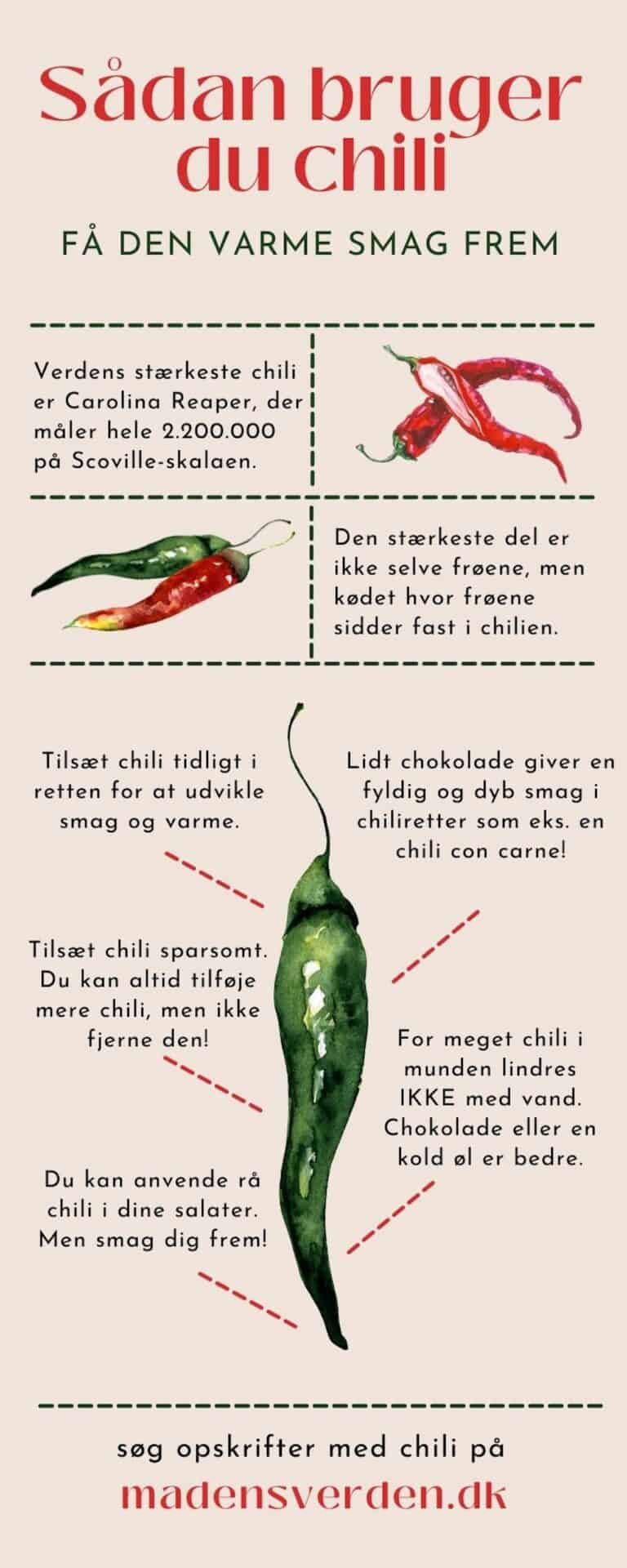 Chili (tips, fakta og de bedste opskrifter)