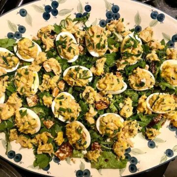 Oeufs mimosa er en fransk udgave af de klassiske mimoseæg eller djævleæg. Hårdkogte æg med fyld af tun, æggeblomme, mayonnaise og sennep på en bund af rucola. Foto: Charlotte Mithril