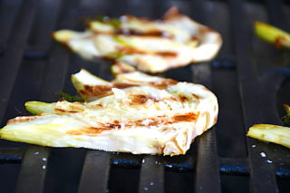 grillet fennikel
