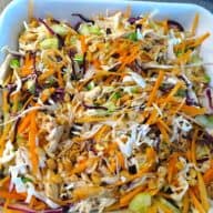 En sund og lækker thailandsk kyllingesalat, der kan serveres som et måltid. Eller undlad kyllingen, og brug salaten som tilbehør. Foto: Newyorker By Heart, Madensverden.dk.