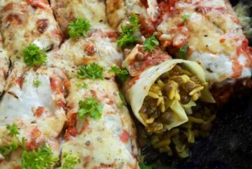 Vegetariske kåldolmere