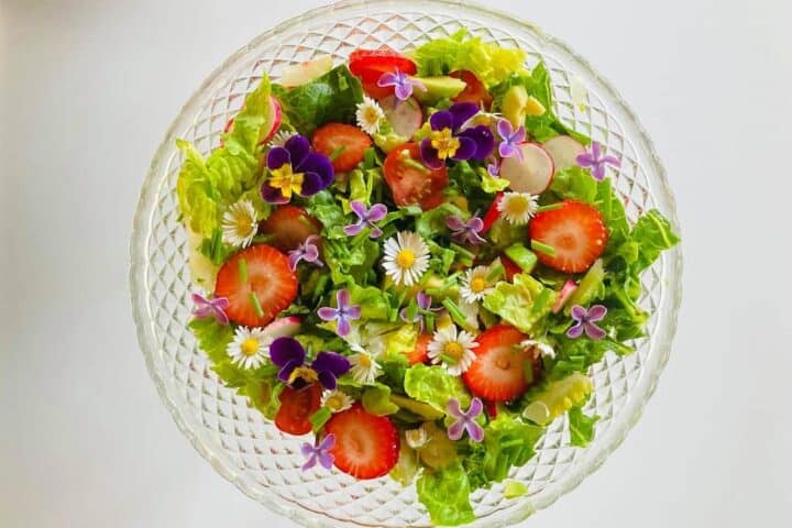 Sommerens salat