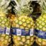 Tjek om en ananas er moden