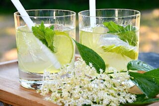 hyldeblomst mojito med eller uden alkohol