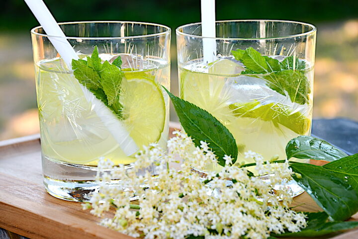 hyldeblomst mojito med eller uden alkohol
