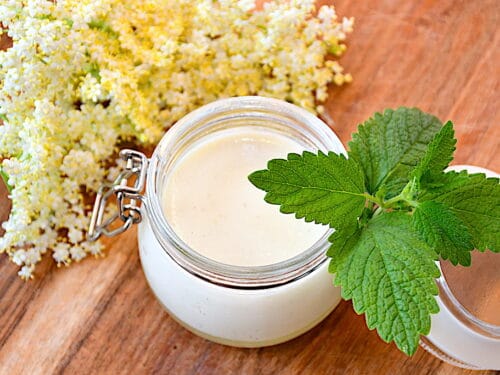 hyldeblomst panna cotta