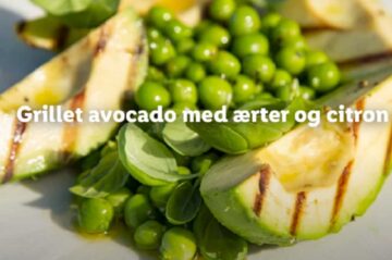Grillet avocado