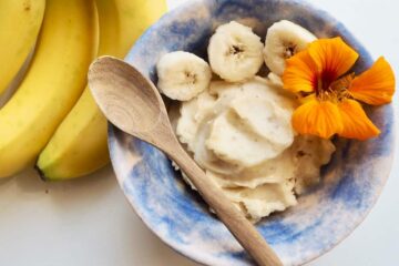 Nicecream vegansk is