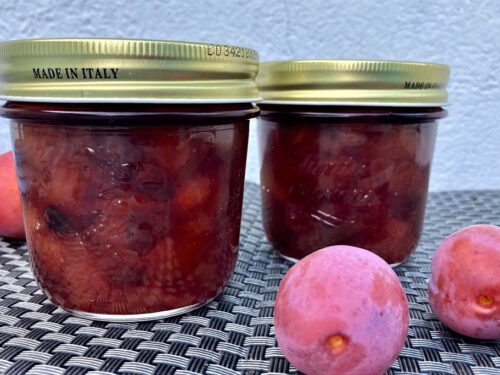 Blomechutney i to glas
