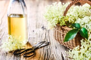 billede med hyldeblomstsaft