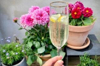 Sommerdrink med hyldeblomst