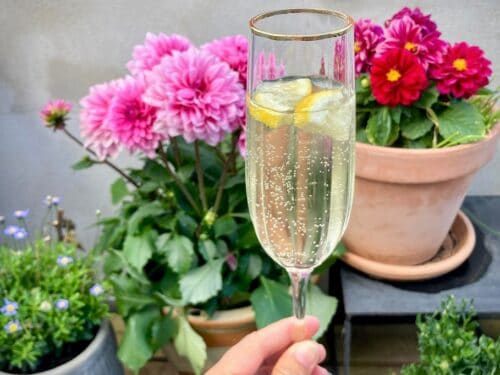 Sommerdrink med hyldeblomst