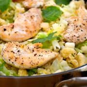 lun couscous salat med kylling og spidskål