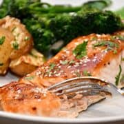 Billede af teriyaki laks.