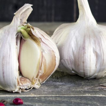 Billede af hvidløg der spirer.