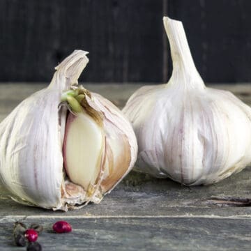 Billede af hvidløg der spirer.